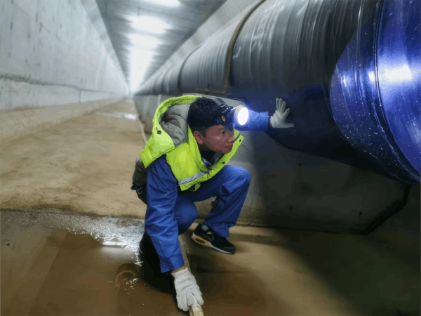 图片 3.png 图片 3.png