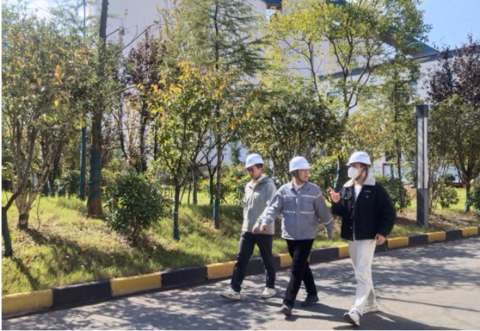 2025-12-12T01:38:48.png 2025-12-12T01:38:48.png