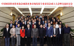 新利体育平台怎么样啊城镇水务市场发展专业委员会成立大会暨交流研讨会