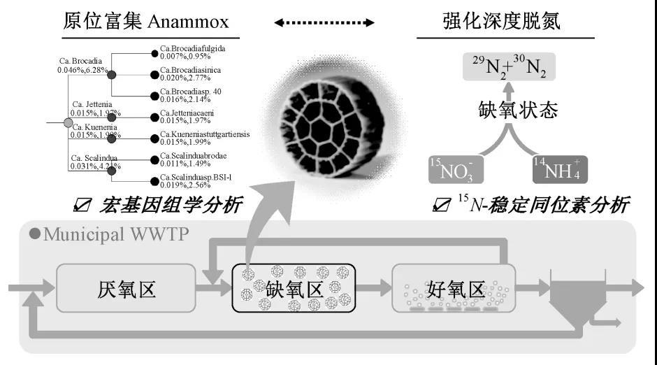 2023-11-02T06:57:46.png 2023-11-02T06:57:46.png