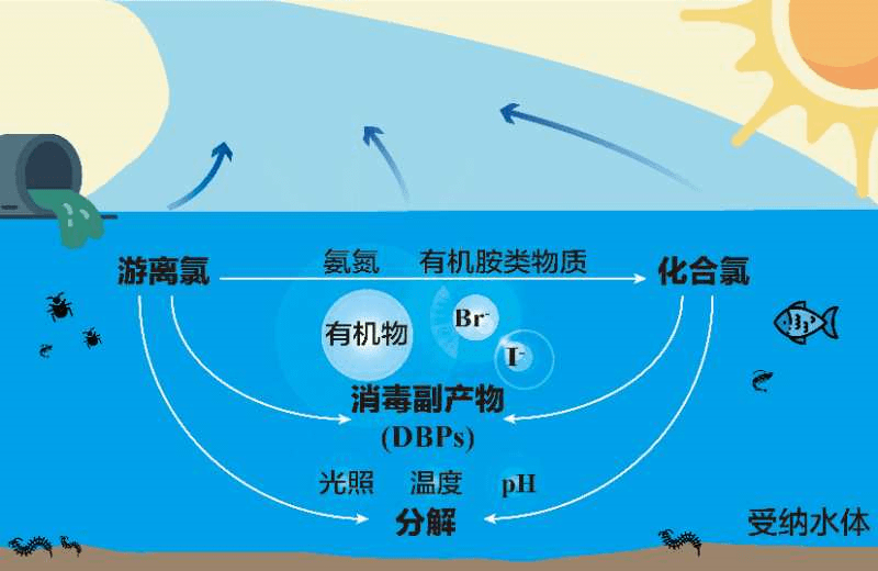 2023-11-01T02:50:30.png 2023-11-01T02:50:30.png