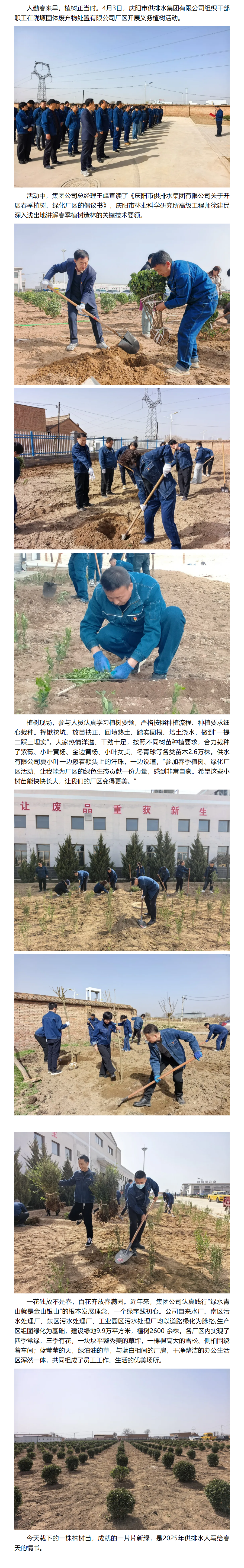 写给春天的情书.png
